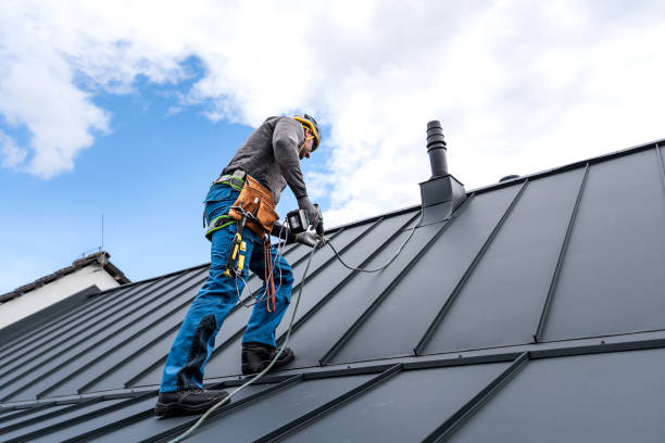 Best Rubber Roofing (EPDM, TPO)  in Wheaton, MD